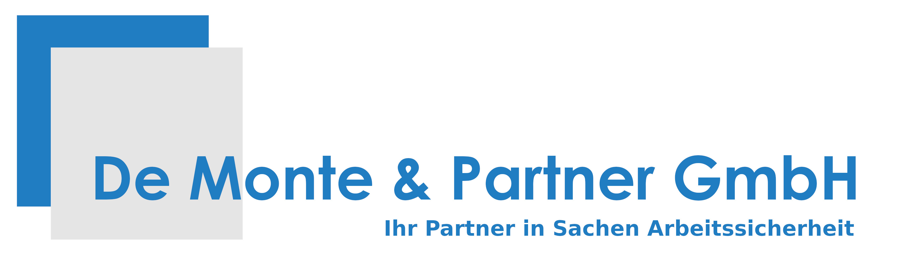 De Monte & Partner GmbH Logo